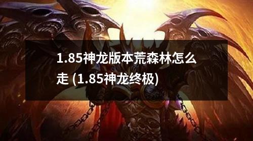 1.85神龙版本荒森林怎么走 (1.85神龙终极)