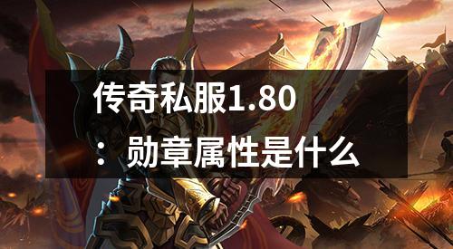 传奇私服1.80：勋章属性是什么